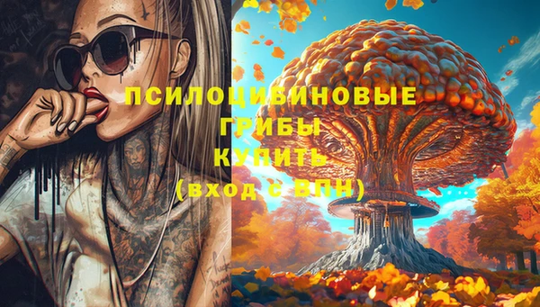 крисы Волоколамск