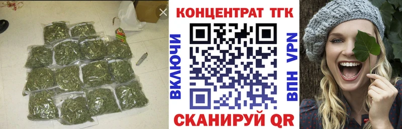 ТГК Wax  Бердск 
