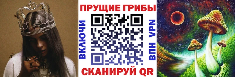 Галлюциногенные грибы мицелий  Бердск 